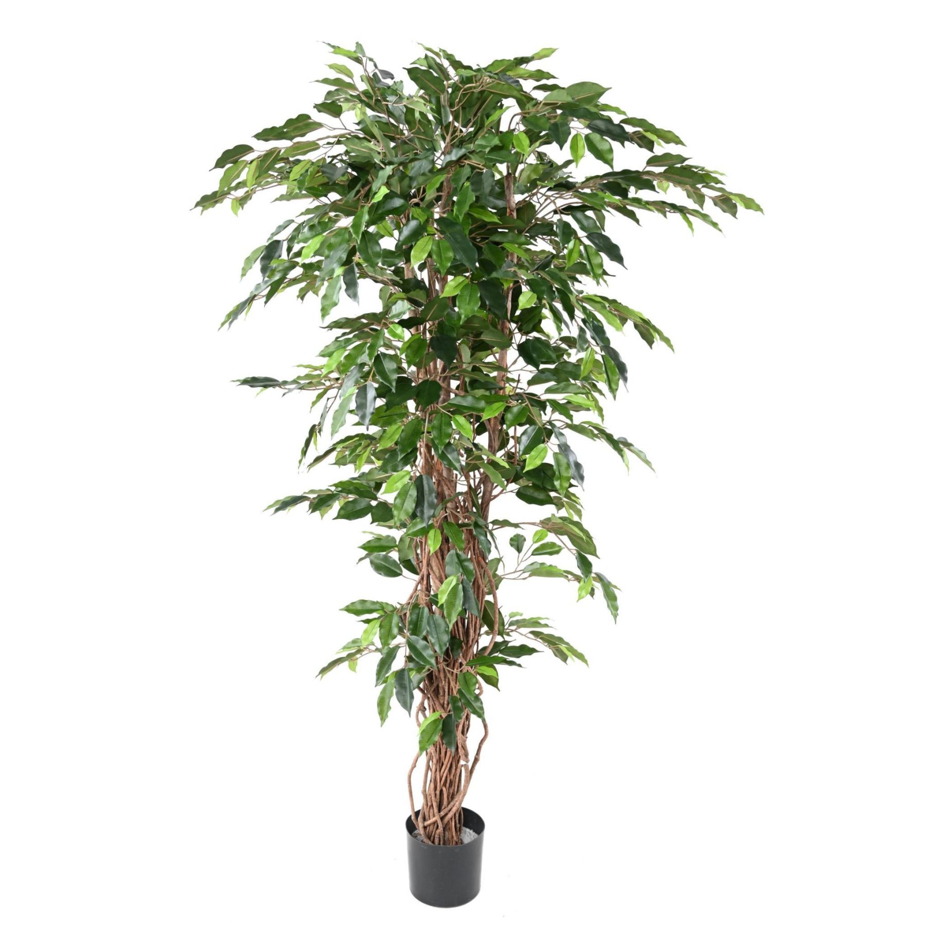 Autre angle du modèle : Mettre en scène un arbre synthétique à tronc généreux